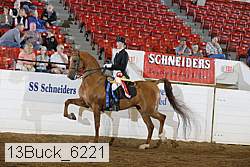 13buck_6221 proof