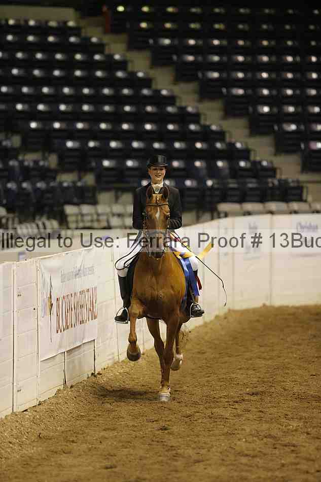 Proof 13buck_6222