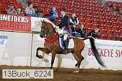 13buck_6224 proof