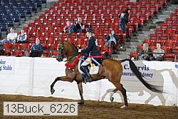 13buck_6226 proof