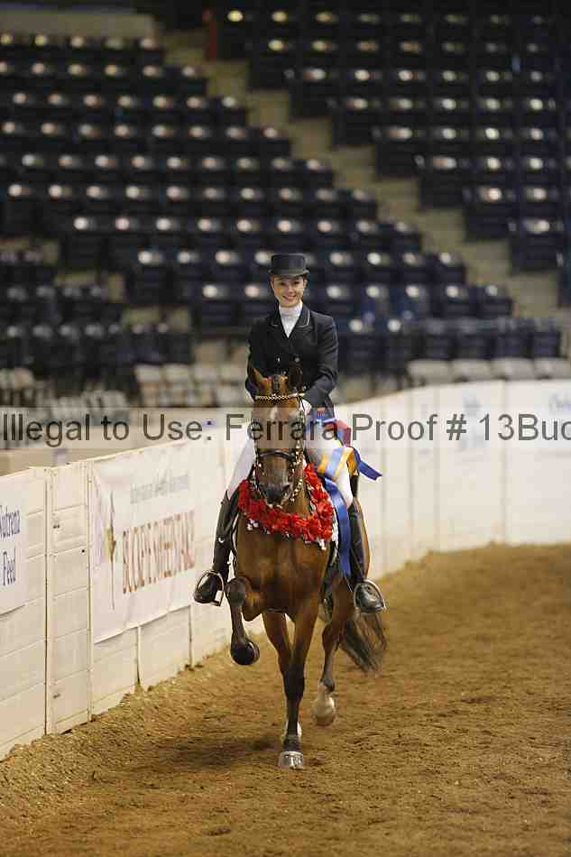 Proof 13buck_6227
