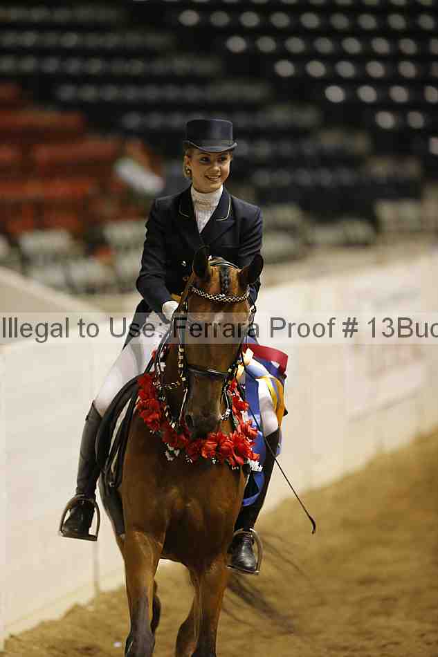 Proof 13buck_6229