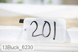 13buck_6230 proof