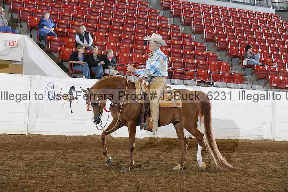 Proof 13buck_6231