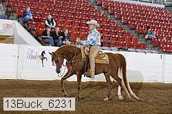 13buck_6231 proof