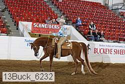 13buck_6232 proof