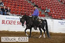 13buck_6233 proof