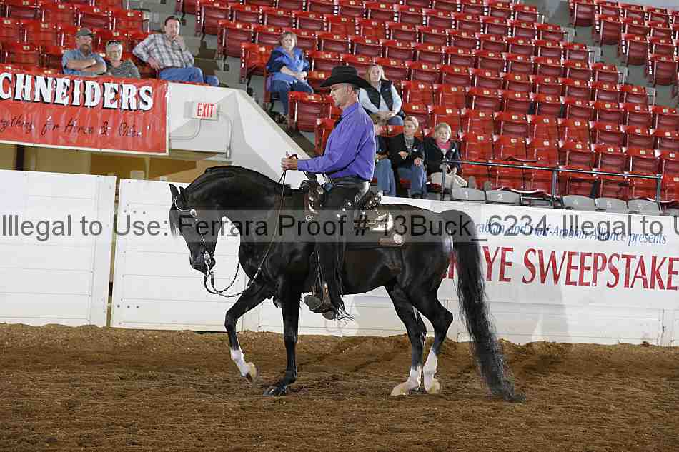 Proof 13buck_6234