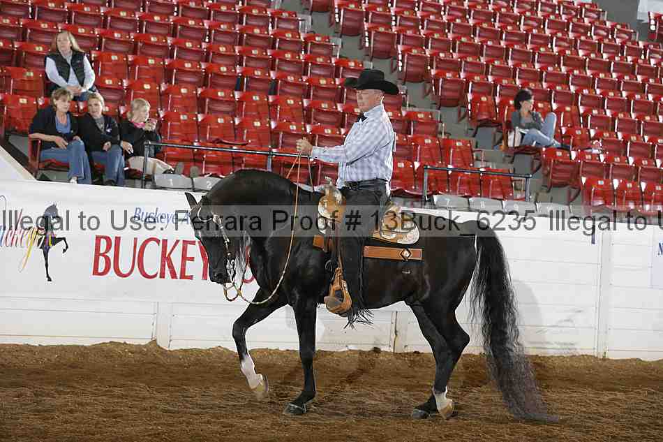 Proof 13buck_6235