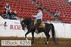 13buck_6235 proof