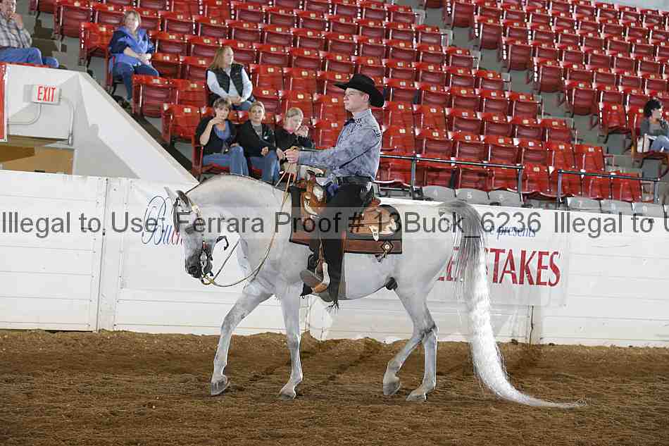 Proof 13buck_6236