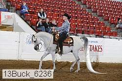 13buck_6236 proof