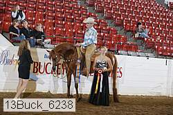 13buck_6238 proof