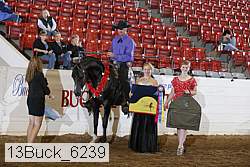 13buck_6239 proof