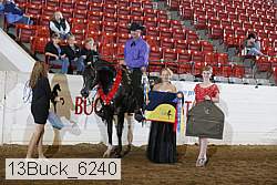 13buck_6240 proof