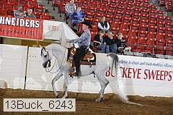 13buck_6243 proof