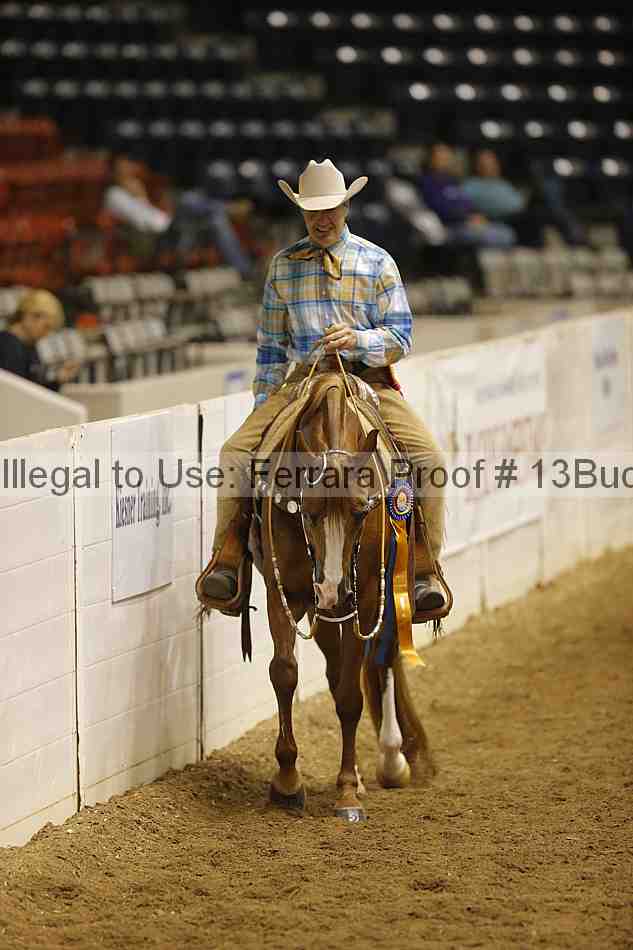 Proof 13buck_6251