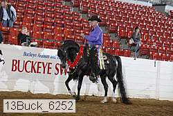 13buck_6252 proof
