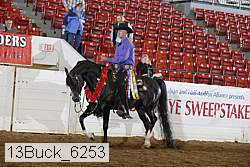 13buck_6253 proof