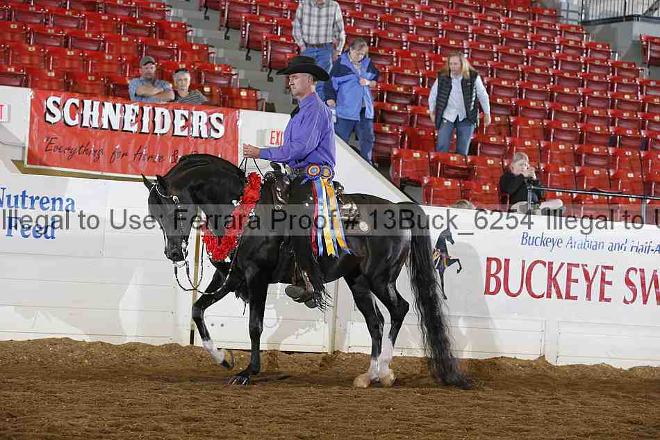 Proof 13buck_6254
