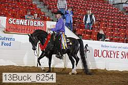13buck_6254 proof