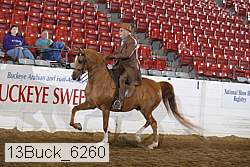 13buck_6260 proof