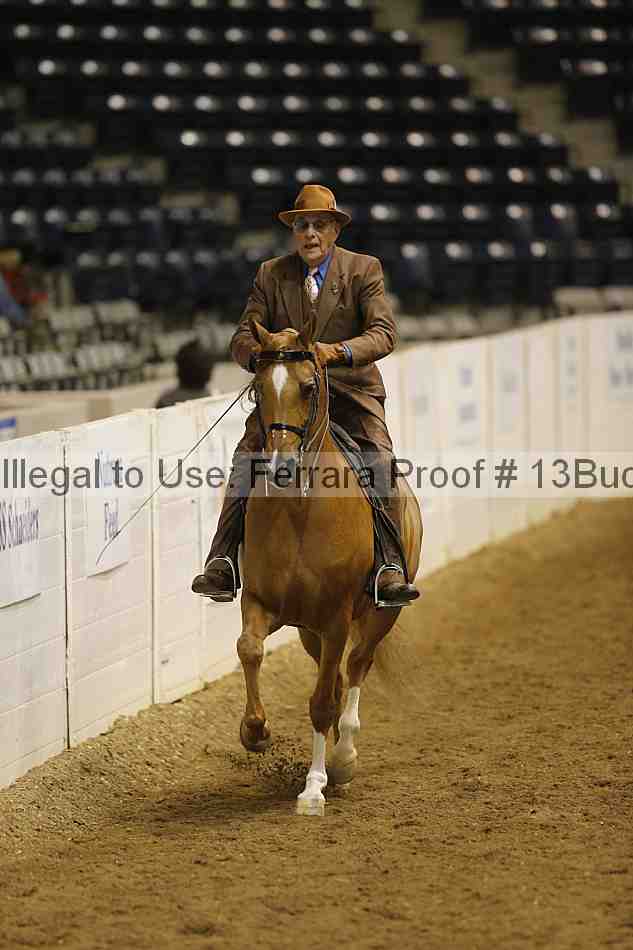 Proof 13buck_6261