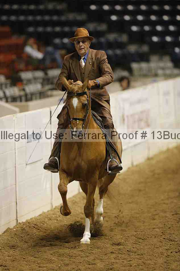 Proof 13buck_6262