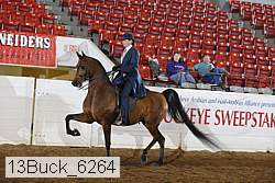 13buck_6264 proof