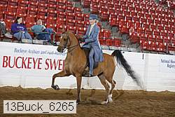 13buck_6265 proof