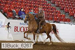 13buck_6267 proof