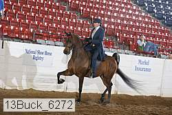 13buck_6272 proof