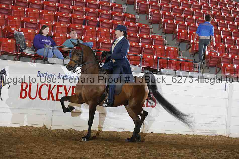 Proof 13buck_6273