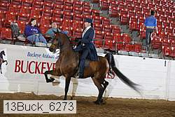 13buck_6273 proof