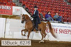13buck_6276 proof