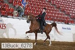 13buck_6278 proof