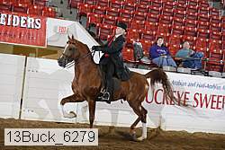 13buck_6279 proof