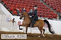 13buck_6280 proof