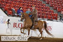 13buck_6282 proof