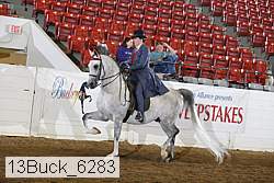 13buck_6283 proof