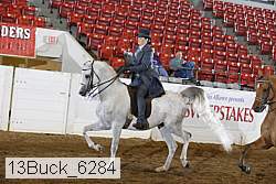 13buck_6284 proof
