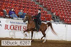13buck_6287 proof