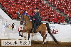13buck_6289 proof