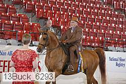 13buck_6293 proof
