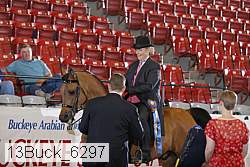 13buck_6297 proof