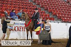13buck_6299 proof