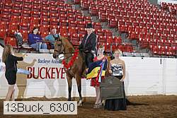 13buck_6300 proof
