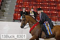 13buck_6301 proof