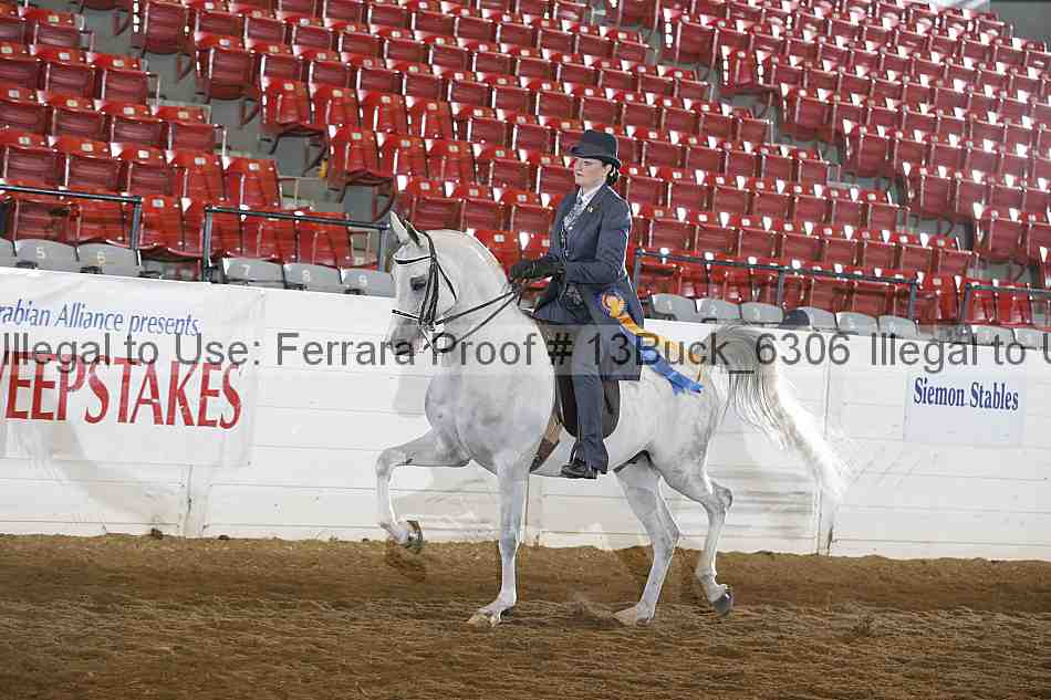 Proof 13buck_6306