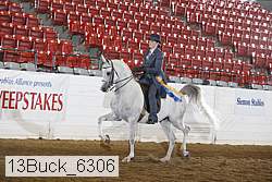 13buck_6306 proof